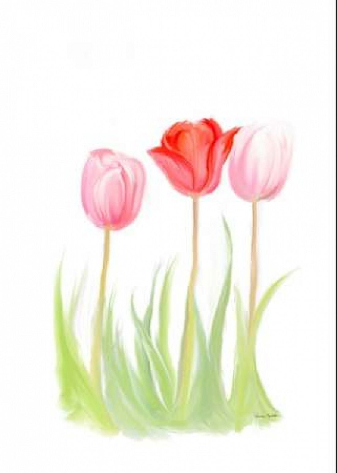 Tulips V Canvas Art - Ramona Murdock (20 x 28)