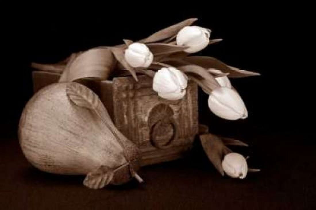Tulips With Pear II Canvas Art - C Thomas McNemar (12 x 18)