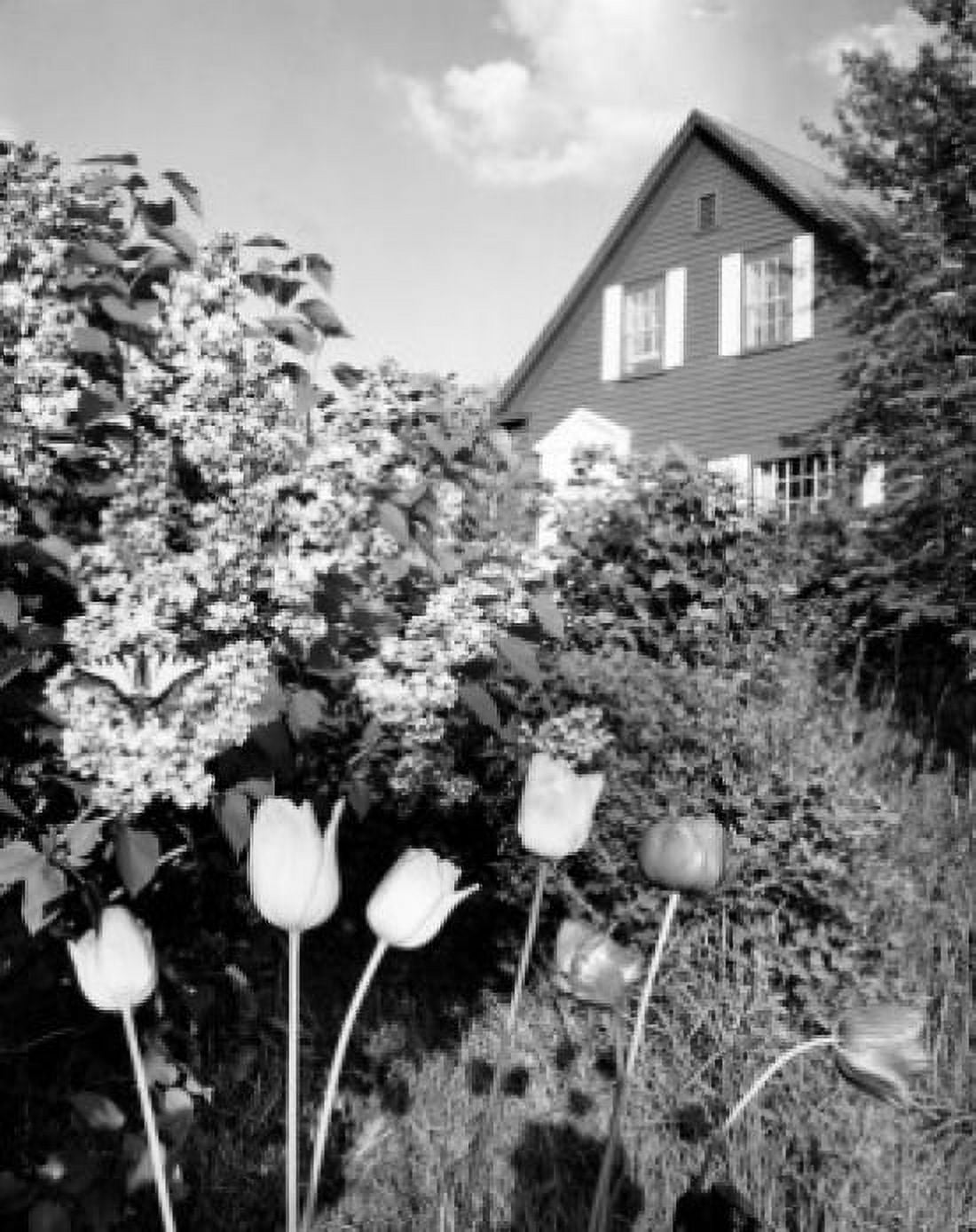 Tulips and Lilacs Canvas Art - (24 x 36)