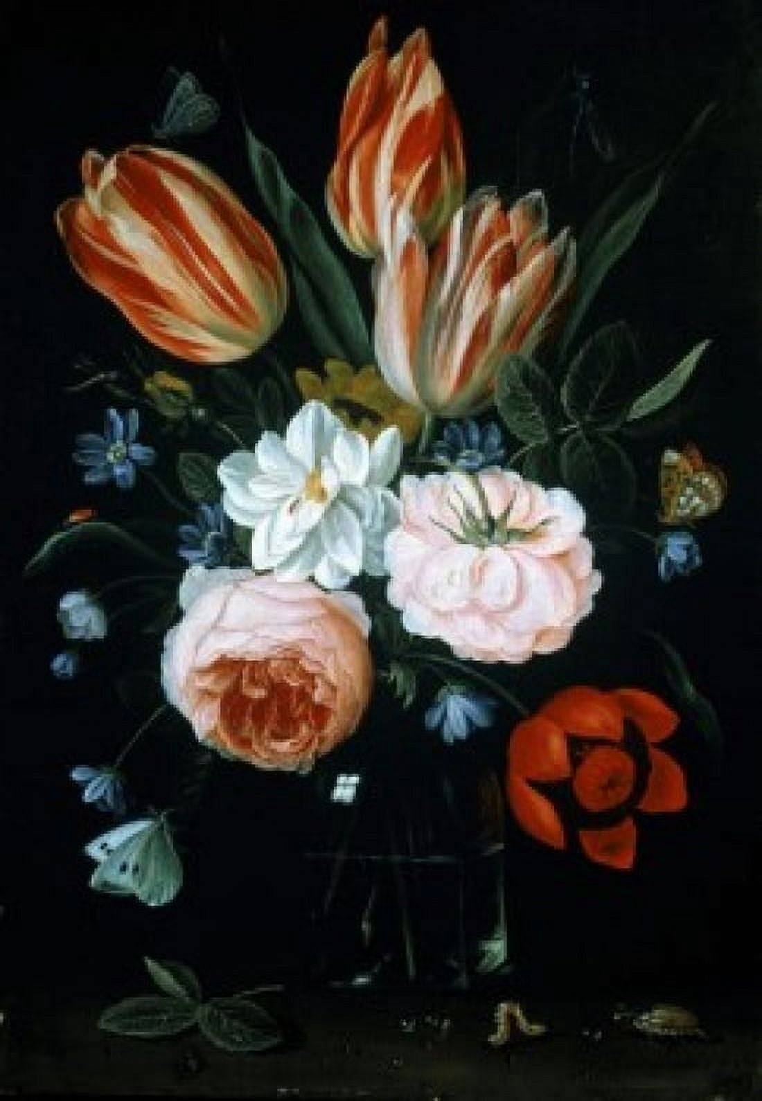 Tulips and Roses In A Glass Vase Jan van Kessel (1612-1679Flemish) Oil on wood panel Canvas Art - Jan van Kessel (18 x 24)