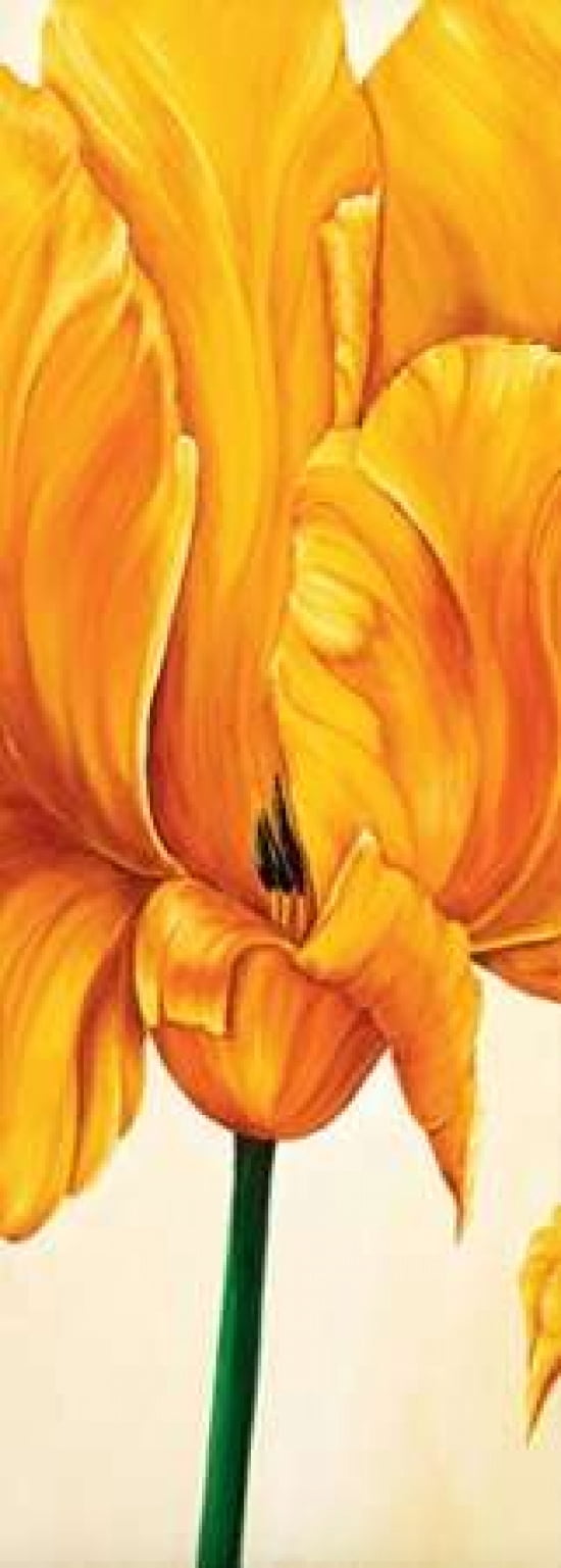 Tulips in Tryptichon I Canvas Art - Beatrix Frederiks (24 x 48)