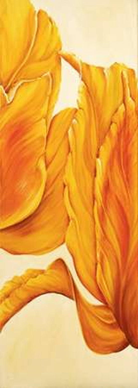 Tulips in Tryptichon II Canvas Art - Beatrix Frederiks (10 x 20)