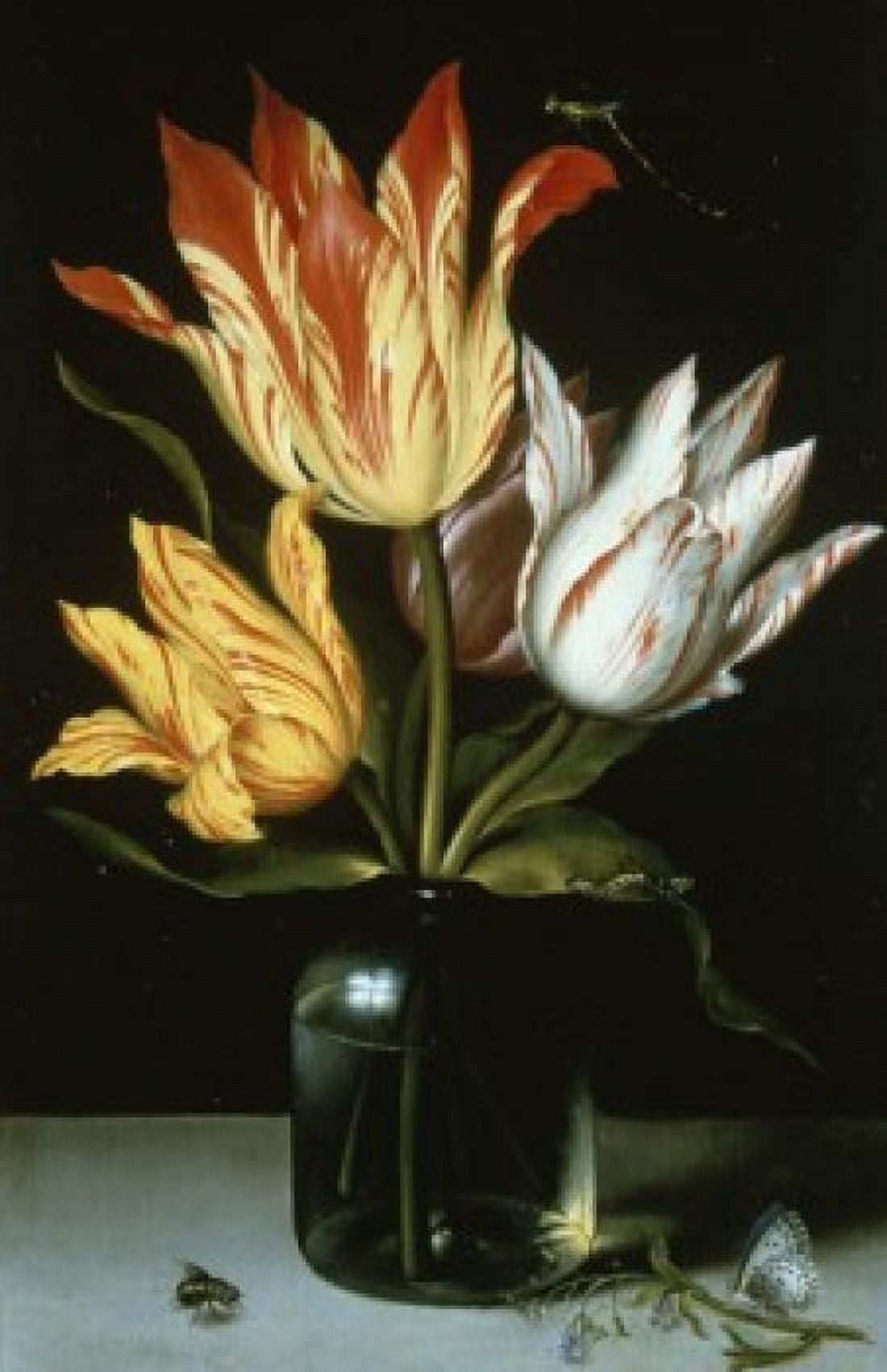 Tulips in a Glass Vase Ambrosius Bosschaert (the elder) (1573-1621 Flemish) Canvas Art - Ambrosius Bosschaert (18 x 24)