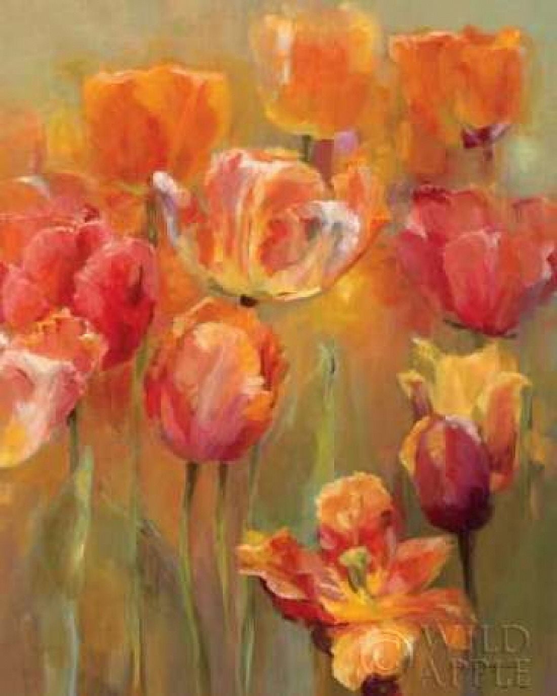 Tulips in the Midst II Canvas Art - Marilyn Hageman (24 x 30)