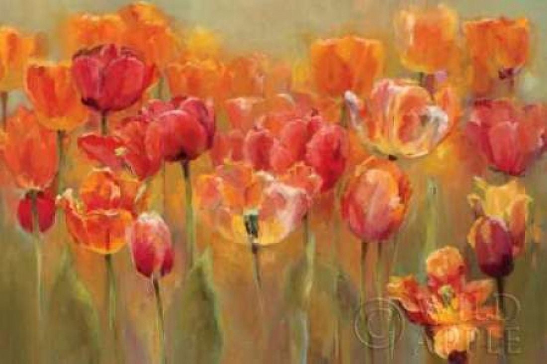 Tulips in the Midst III Canvas Art - Marilyn Hageman (12 x 18)