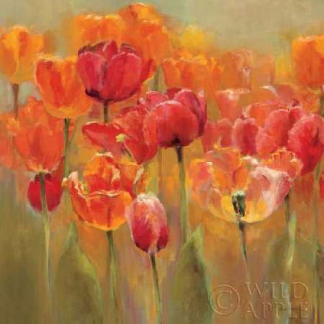 Tulips in the Midst III Canvas Art - Marilyn Hageman (24 x 24)