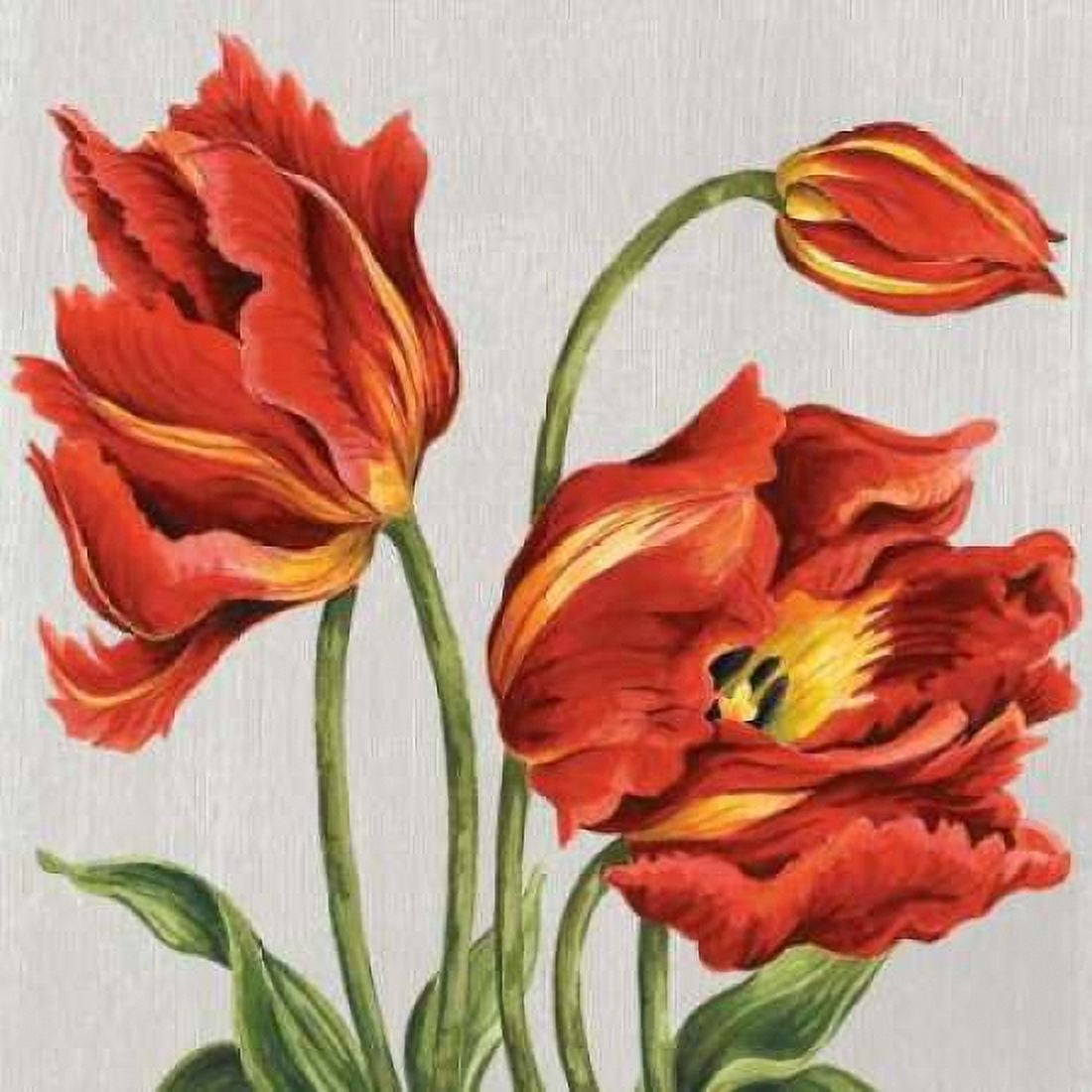 Tulips on Silk Canvas Art - Judy Shelby (24 x 24)