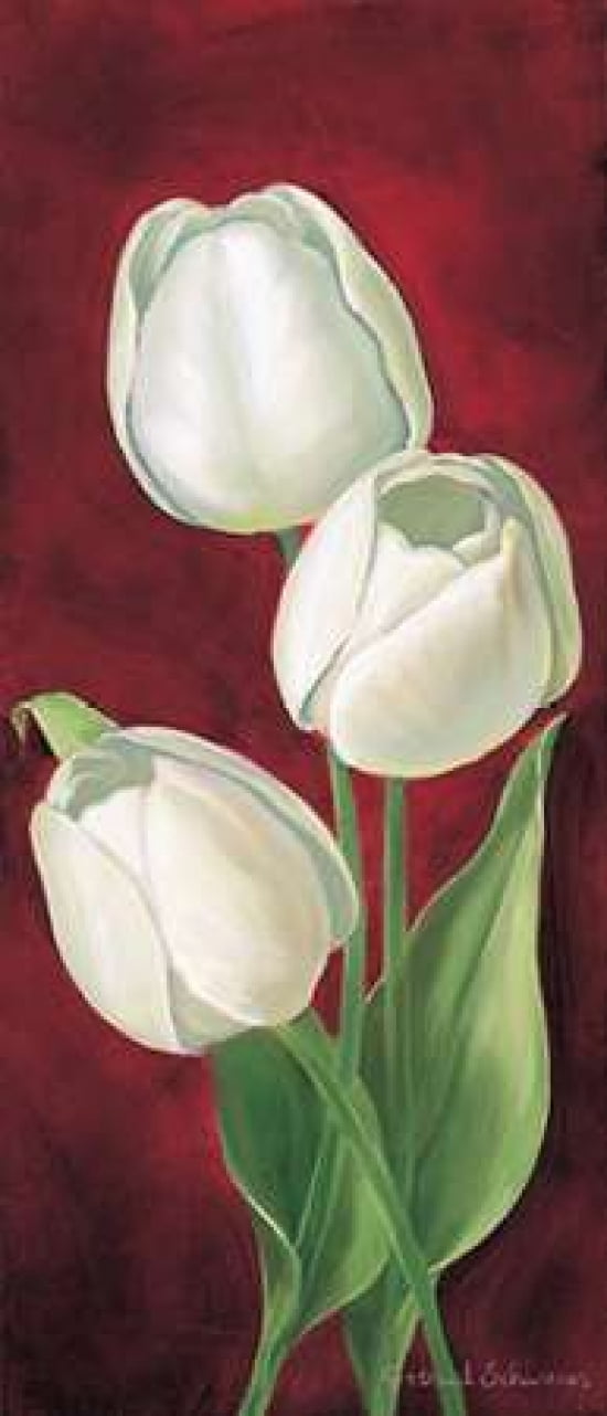 Tulips on burdundy I Canvas Art - Gertrud Schweser (10 x 20)