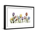 thumbnail image 1 of Tulipscape Portrait, Botanical Framed Art Print Wall Art by Albert Koetsier Sold by Art.Com, 1 of 6