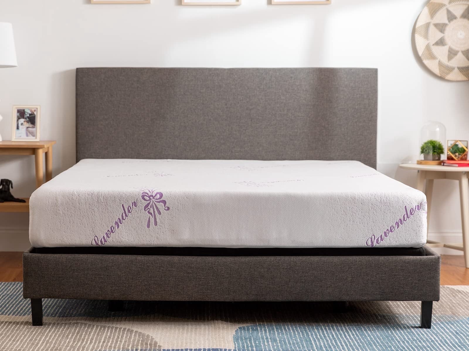 Tulo by Mattress Firm 8" Full Mattress Memory Foam Lavender Mattress in ...