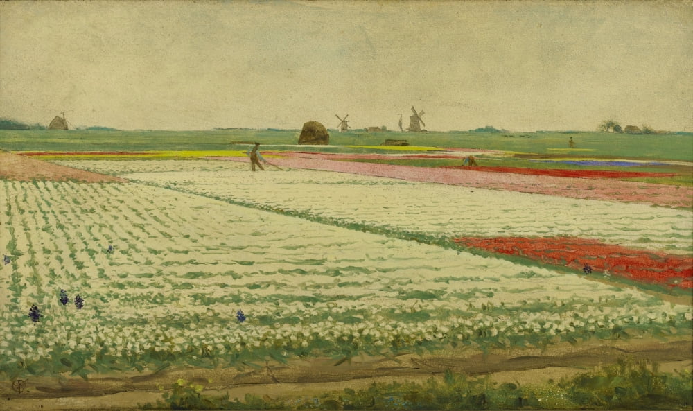 Tulpenvelden (Tulip Field) Canvas Art - (36 x 24)