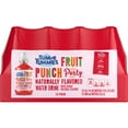 thumbnail image 1 of Tum-e Yummies Fruit Punch Party Water, 10.1 fl oz, 12 Count Bottles, 1 of 6