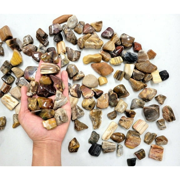 Tumbled Petrified Wood Crystals Stone Bulk Polished Healing Gems Root Chakra