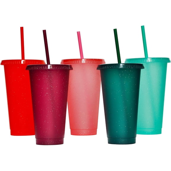 Tumbler with Straw and Lid, Water Bottle Iced Coffee Travel Mug Cup, Reusable Plastic Cups, Perfect for Parties and Birthdays, 24oz - 5 Pack Rainbow Colors