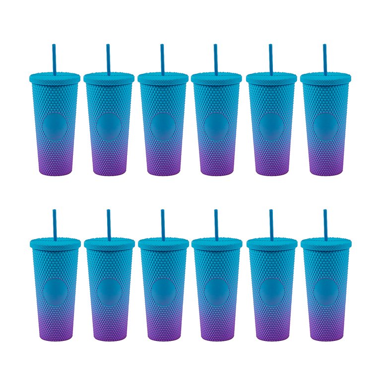 Tumblers with Lids & Straws Blue & Purple Bulk 12 Ct