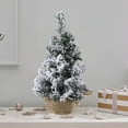 thumbnail image 1 of Haliyee Artificial Christmas Tree 8.6 Inch，Small Christmas Tree Mini Christmas Tree Mini Pines Tree Bottle Brush Fake Tree With Wooden Base For Tabletop Decoration, 1 of 6