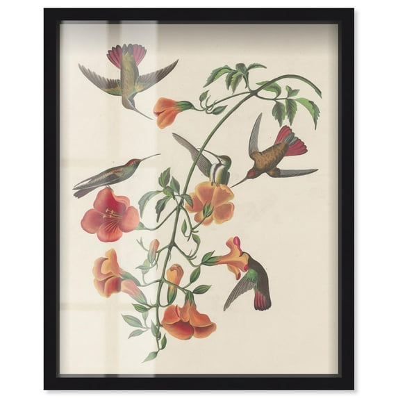 Tumult of Wings Shadowbox Print Vintage Art by Art Remedy, Black Frame, 30 x 36