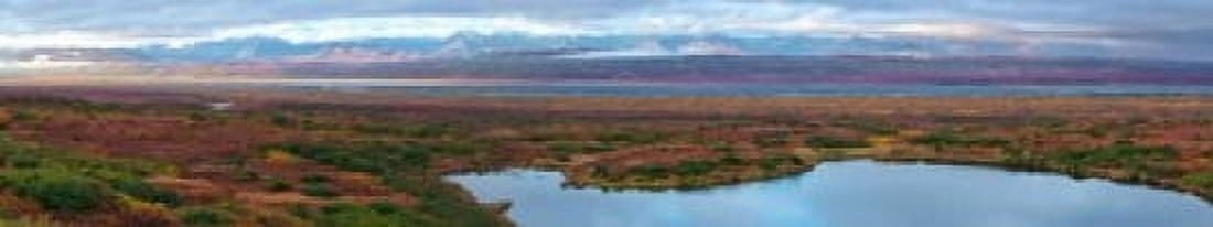 Tundra landscape Denali National Park Alaska USA Canvas Art - Panoramic Images (22 x 4)