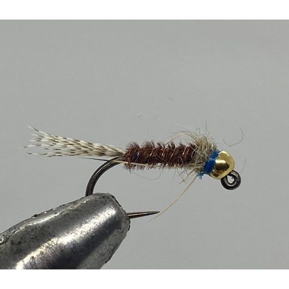 Tungsten Beadhead Jig Frenchie Blue - Nymph