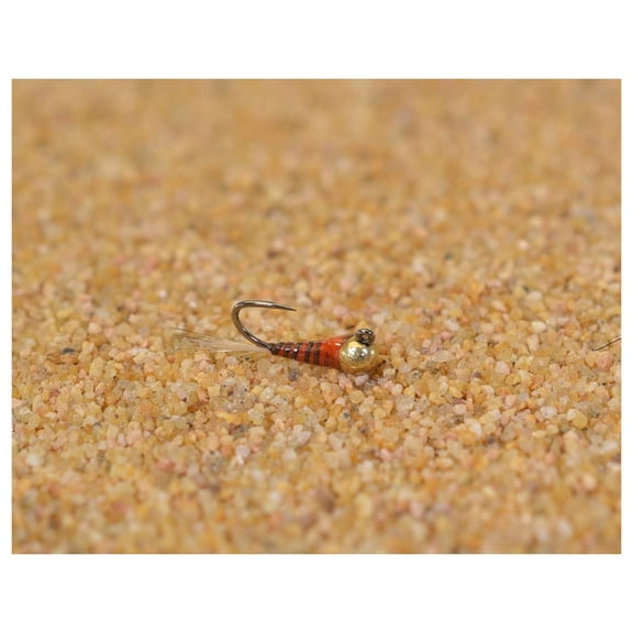 Tungsten Quill Perdigon Jig Head Fly - Euro Nymph Tied on Hanak Hook - 6ct Packs