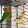 thumbnail image 1 of Tunhigl Flexible Rope Bird Perch for Small Parrots - Bendable Wire Easy Install Foot Exercise Toy in Multi-Color for Cage Mental Stimulation Yellow, 1 of 6