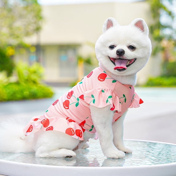 Tunhigl Floral Pet Dress for Cats Dogs Summer Breathable Mesh Outfit Soft Lightweight Cute Design for Small Pets Daily Walks Beach Days Birthday Gift