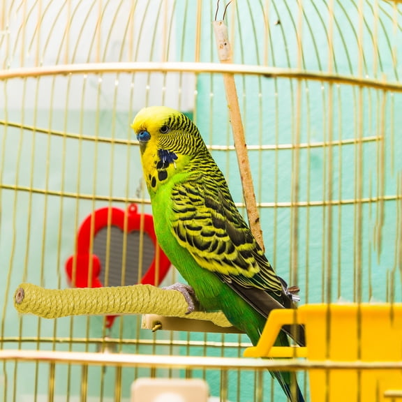 Tunhigl Rope Bird Perch for Beak Grinding Chew Toy Bird Cage Accessories for Small Birds Parrots Cockatiels Lovebirds Durable Rope Perch with Secure Grip Easy Installation Yellow
