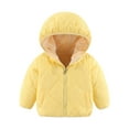 thumbnail image 1 of Tuosodrolic Toddler Boys Girls Cute Hooded Coat Fuzzy Lined Puffer Jacket Kids Zipper Casual Jackets Soft Cozy Down Outerwear, 1 of 1