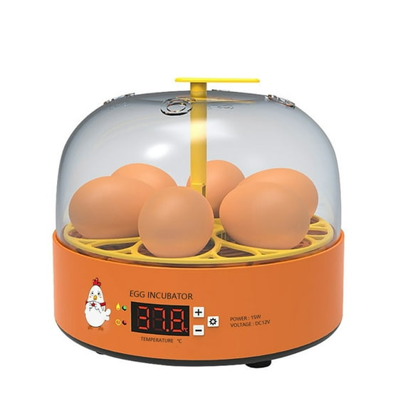 Tuphregyow 6-Egg Capacity Automatic Egg Incubator with Humidity Display and Temperature Control for Hatching Chickens, Ducks, and Quails Eggs. Orange