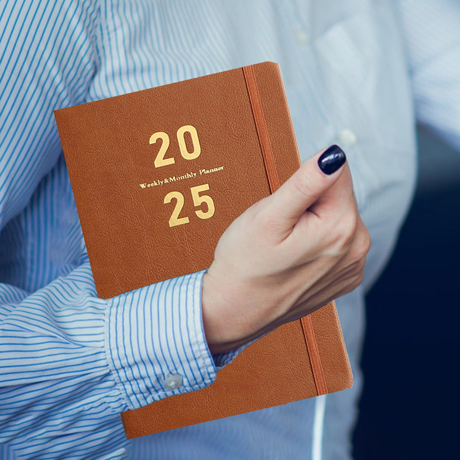 Tuplbcv 2025 Planner Planner 2025 Weekly Monthly With Stickers Jan 2025