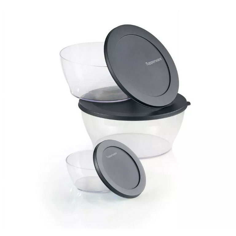 Tupperware スタータ－6点セット Amazon.com: Tupperware Date, Store & Freeze Collection 6
