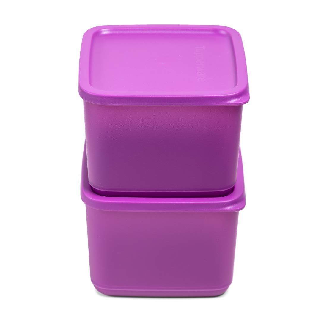ミュージシャン ZUTOMAYO CONTAINER BOX (Purple) ミュージシャン ZUTOMAYO CONTAINER BOX (Purple