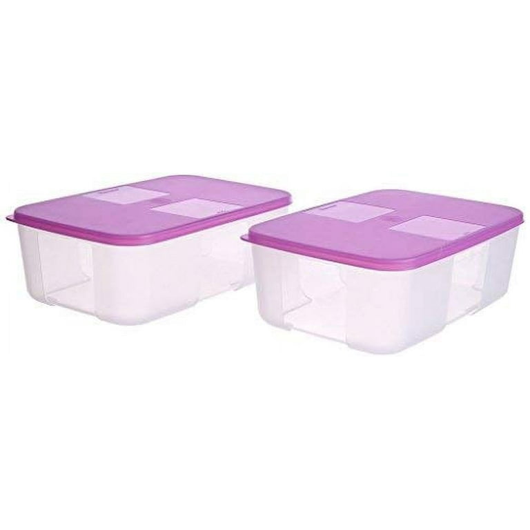 Tupperware Set of 2 Freezer Mates Mini Containers 4 Ounces Purple