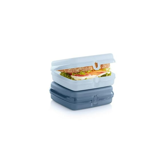 Tupperware Polypropylene Sandwich Keeper 2-Container Set, Dishwasher Safe and BPA Free (2 Hinged Containers), 64 cubic_inches