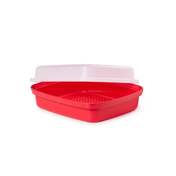 Tupperware Season-Serve Plastic Marinating Container with Lid