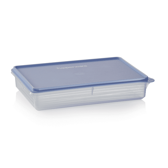Tupperware Snack-Store Plastic Large Food Storage Container with Lid