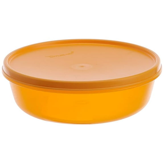Tupperware Ss Modular Plastic Small Bowl, 1 Litre, Blue-Violet