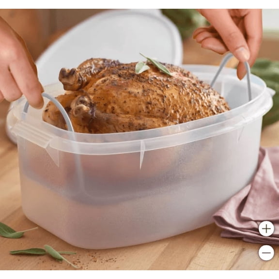 Tupperware XL Food Storage Container