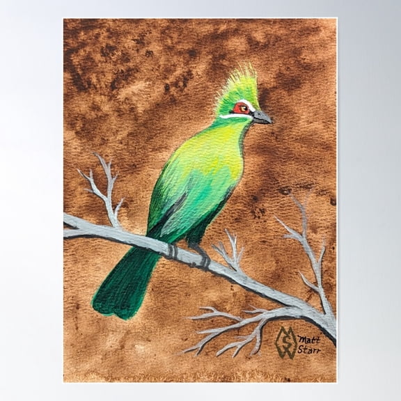 Turaco In The Savanna Poster Wall Art, Modern Wall Decor For Living Room Bedroom, 8x12 UNFRAMED
