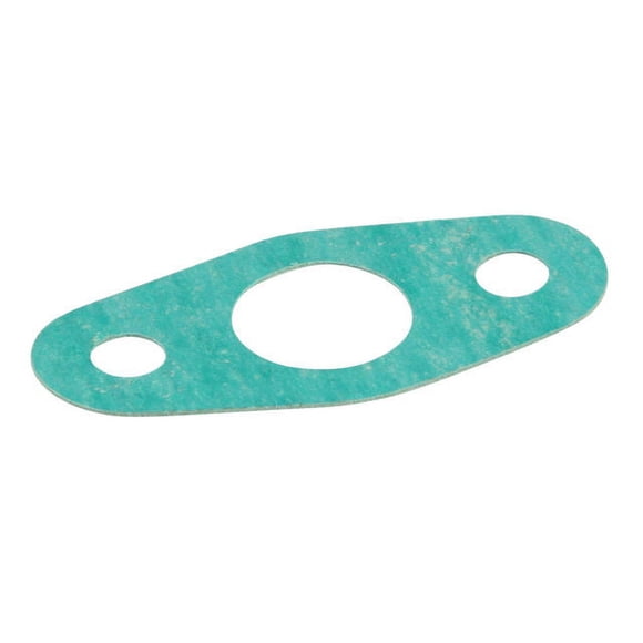 Turbo Oil Drain Gasket