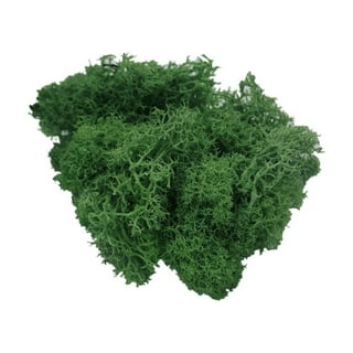 Usmola Artificial Fake Moss, 8oz Craft Moss for Potted Plant Centerpieces Decor (Fresh Green)