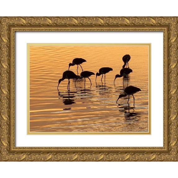Turek, Eve 32x24 Gold Ornate Wood Framed with Double Matting Museum Art Print Titled - Ibis Sunset