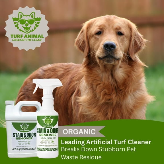 Turf Animal Pet Stain & Odor Remover for Strong Odors & Stubborn Stains Natural Enzyme Odor Eliminator for Indoor Carpet & Outdoor Artificial Turf Enzymatic Dog & Cat Urine Destroyer, 1 Gallon