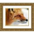 thumbnail image 1 of Turgeon, Alain 14x11 Gold Ornate Wood Framed with Double Matting Museum Art Print Titled - Red Fox, 1 of 4
