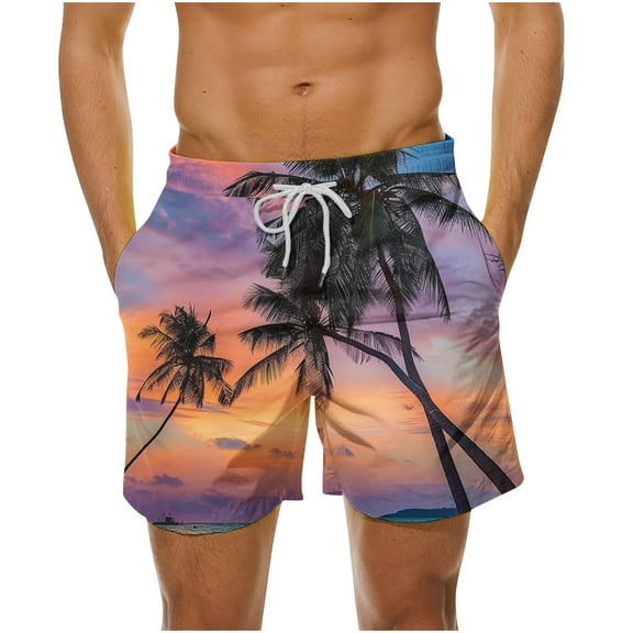 Turilly Men's Summer Shorts Shorts Inseam Big And TallSummer Loose Beach Shorts Pocket Swimming Pants L