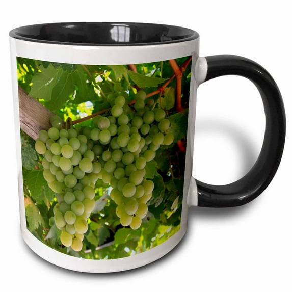 3drose, Turkey, Cappadocia, Uchisar, Grapes for the Making Uzum Pekmezi., 11oz Two-tone Black Mug