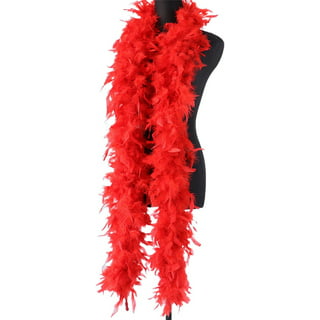 HaiMay 2 Pack Turkey Feather Boa for Craft Clothes Accessories Latin  Wedding Dress Home Party Costumes Decoration, 4.4 Yards 40G Red Feather Boas
