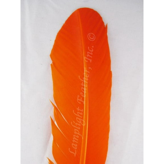 Turkey Feathers wing rounds dyed Orange per DOZEN