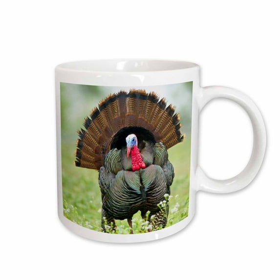 3drose, Turkey, Meleagris Gallopavo, Male Strutting, Texas, Usa, 15oz Mug