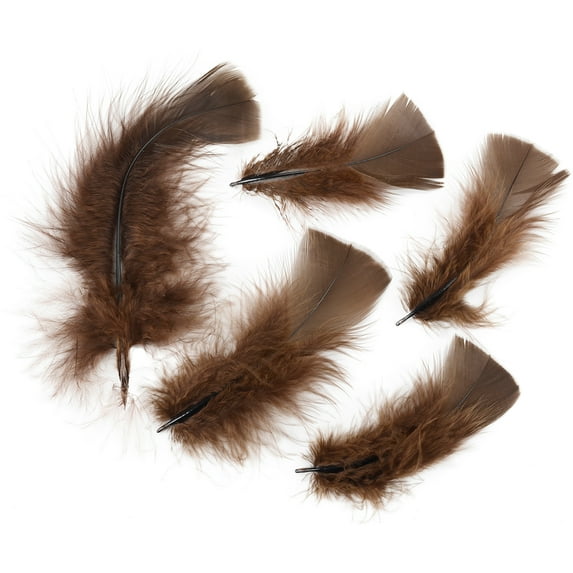 Turkey Plumage Feathers .5oz-Brown, Pk 6, Zucker